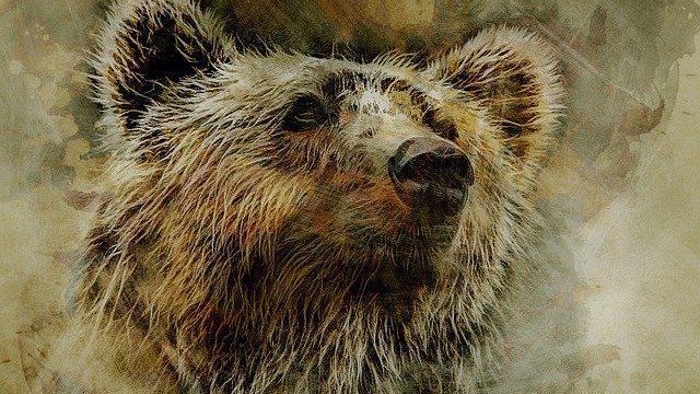 Old Ephraim, the Great Bear